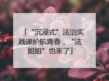 “沉浸式”法治实践课护航青春，“法姐姐”也来了
